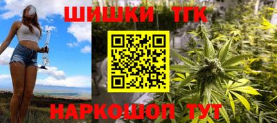 гашик Сланцы