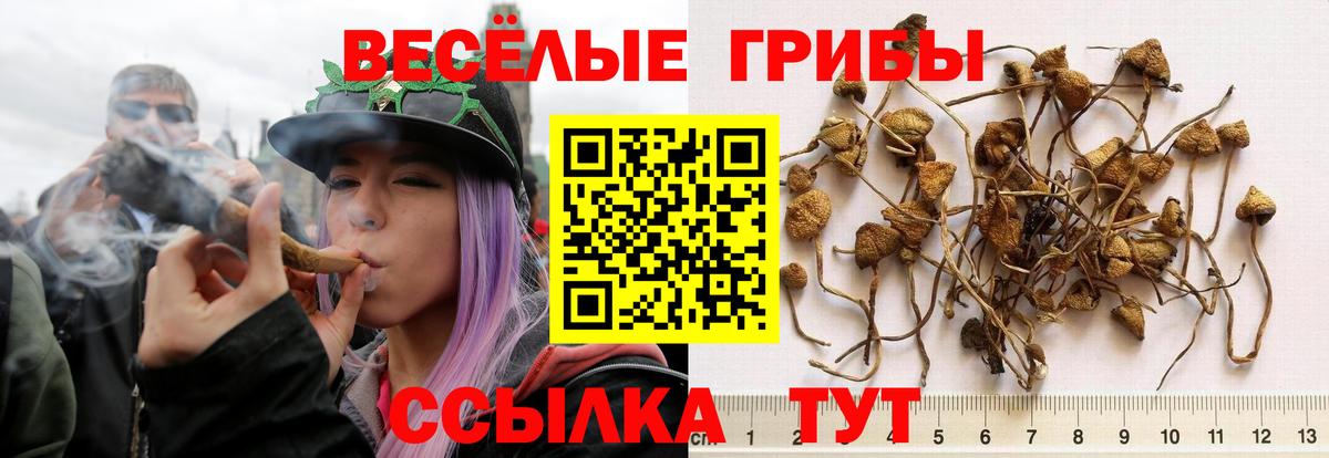 Старая Купавна  Псилоцибиновые грибы мухоморы  Псилоцибиновые грибы Cubensis  хочу наркоту  Вход с VPN 